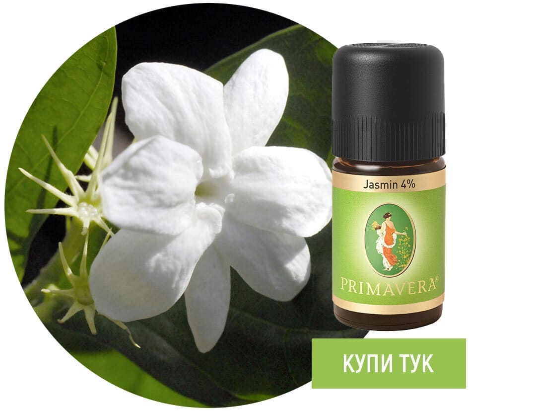 Екзотичният аромат на Жасмин абсолю Jasmine-Essential-oil-4procent-Primavera
