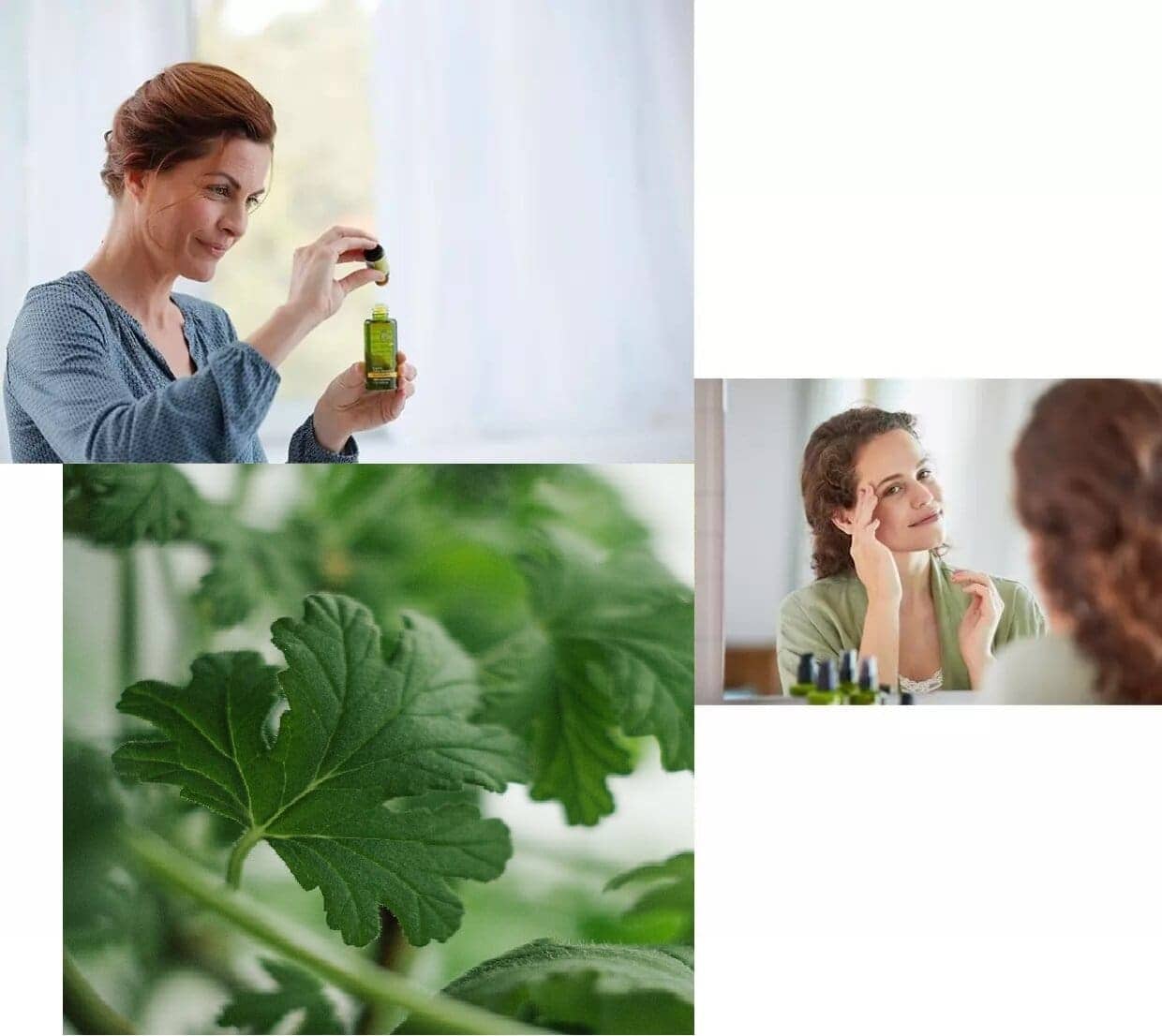 ЕТЕРИЧНО МАСЛО ОТ ЗДРАВЕЦ - ПОЛЗИ И ПРИЛОЖЕНИЕ