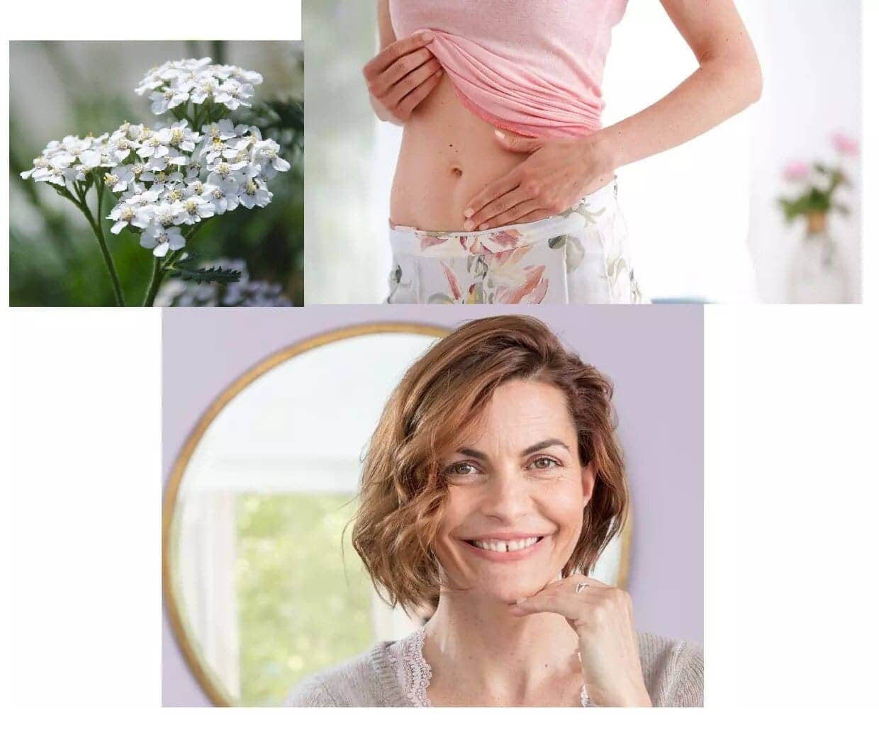 Етерично масло от бял равнец – ползи и приложения image 73