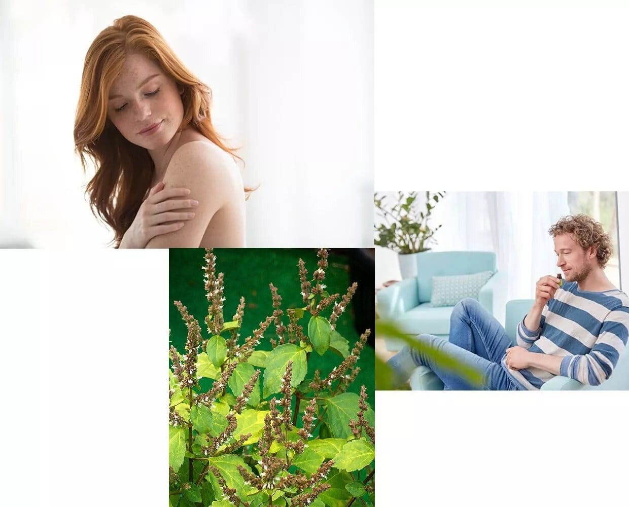 Етерично масло от пачули – ползи и приложение image 80