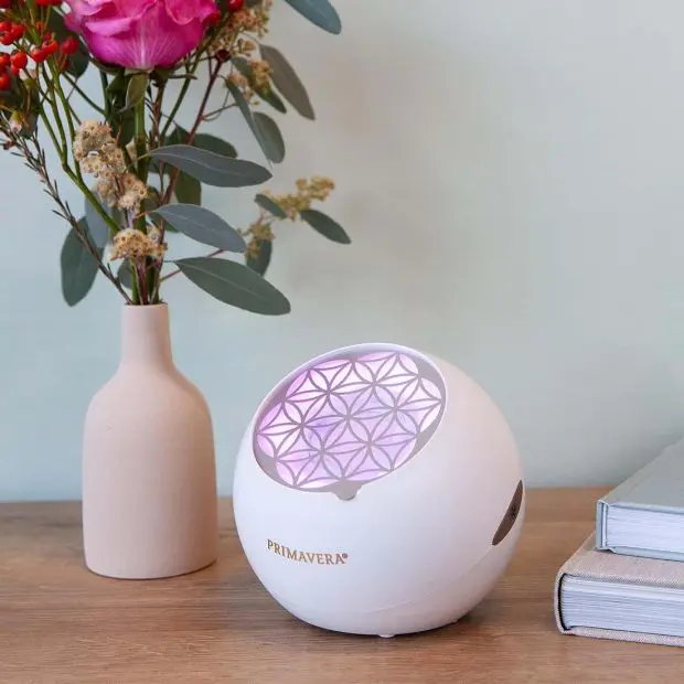 42030 ventilator flower mood jpg